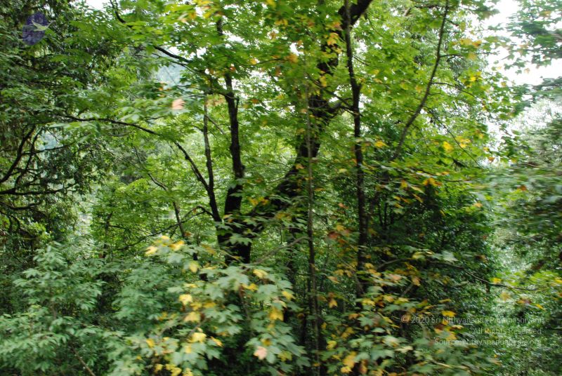 File:20080707 Photo 1450 1YAPfCQroboeq9OZ-E4r1LZ8 MdircGIz.JPG