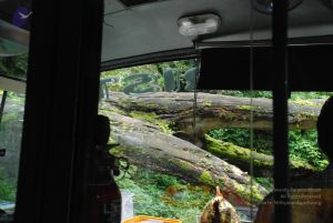 20080707 Photo 1452 1CzAWHh4VMitAtFm8PbgG9qdQqEO5YVUp.JPG