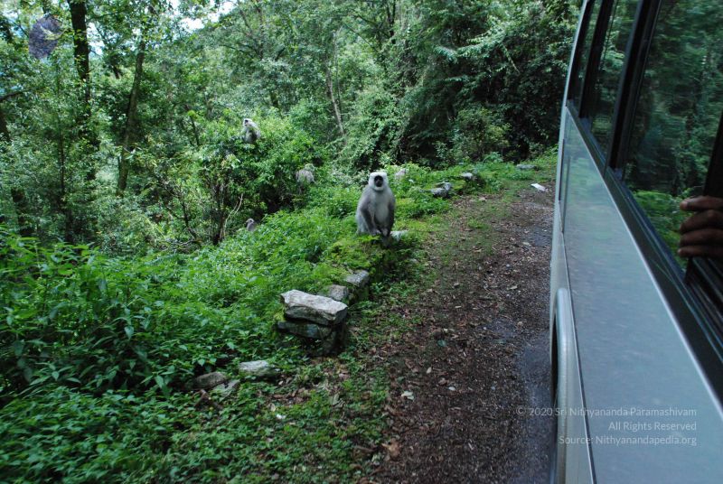 File:20080707 Photo 1456 11XPahVpmBpRyz3EirbTjp39uZ7kzhy1I.JPG