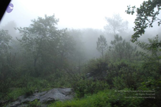 20080707 Photo 1459 1QxWc7gLyRjmI0cN0KRBBpewcb5UiO2I9.JPG