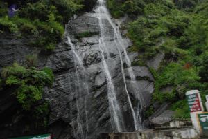 20080707 Photo 1462 1Ce6MHYGNfbG15YMqMsznwCLhYEMUiZjf.JPG