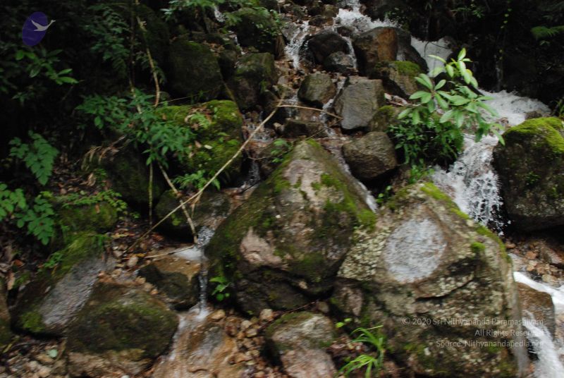 File:20080707 Photo 1462 1Zsxl8Whymb6z2sHJ4RSoXi6Y4RRPflY4.JPG