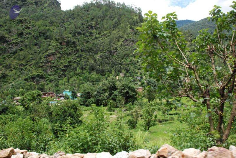 File:20080707 Photo 1482 1FgR3RA CPpxfYtSwP72xNhoGVsoU9eYd.JPG