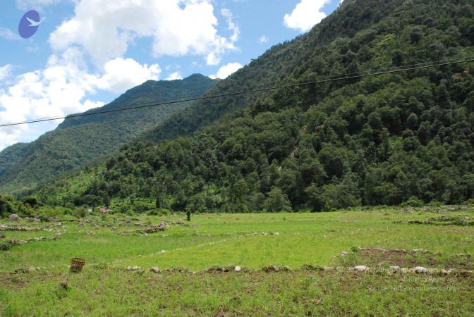 20080707 Photo 1489 1Lvaj OSQKLENPnk7MbGGCW2lbMb1JVMa.JPG