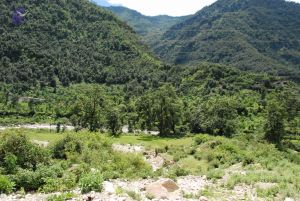 20080707 Photo 1497 1R3RB2atOu42 eqeHZn8fMHtG-hXSu2Dk.JPG