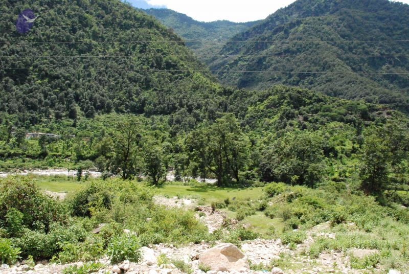 File:20080707 Photo 1497 1R3RB2atOu42 eqeHZn8fMHtG-hXSu2Dk.JPG