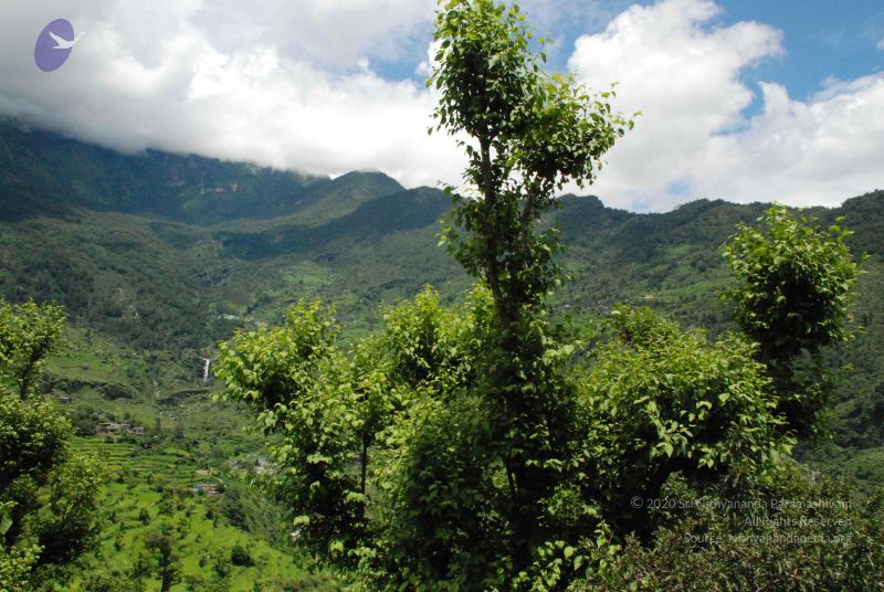 File:20080707 Photo 1510 1DwBFlqWnrkRsAkgeRi6m AvQ5va-kG0D.JPG