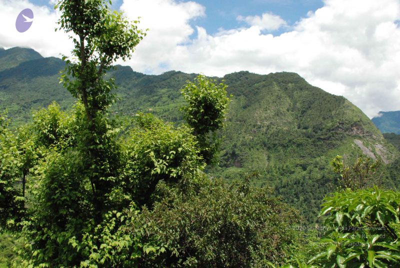 File:20080707 Photo 1511 1NsBywRAeeqzE5uA4aX2vsUJZrwKTm9S4.JPG