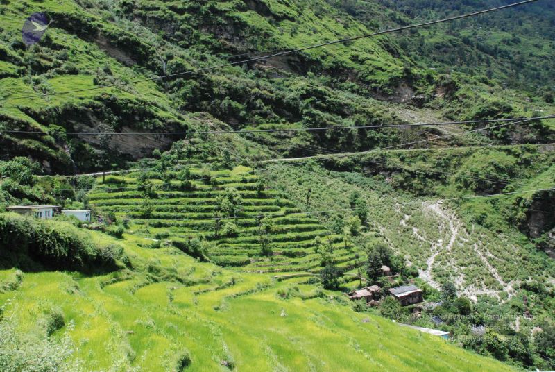 File:20080707 Photo 1527 1ASAJwIvfCKTWctoSqxgzy5LATVIPH1WN.JPG