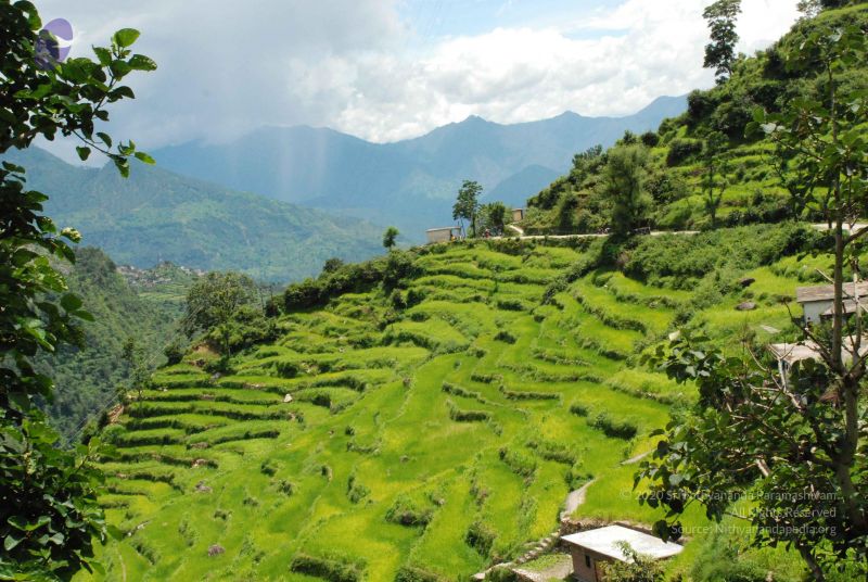 File:20080707 Photo 1531 16j1YvHrSXXNpM2ER19JDO7Km-n4PVooI.JPG