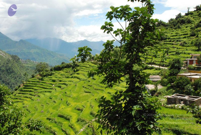 File:20080707 Photo 1532 1L-DGPuLE-C XjjLhA5f30DttaUfo67za.JPG