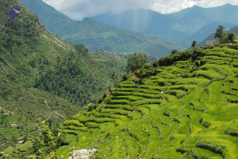 File:20080707 Photo 1534 12WPaIkSxUV5OZngDHloPTBTDTOL-JcE3.JPG