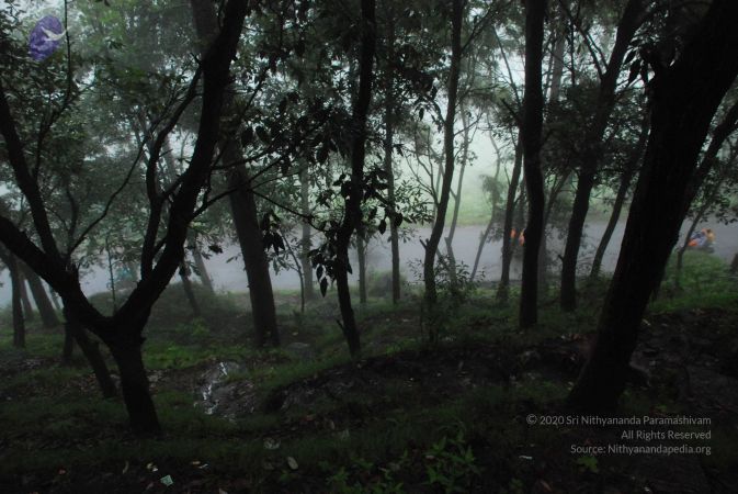 20080707 Photo 1541 185aawTdKOg2n6hrmVP5TpmOY-qysTgxG.JPG