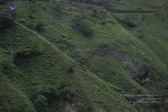 20080707 Photo 1591 15jJJKbBrc-ens 0Py7clBPUgTX7DRRrE.JPG