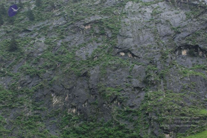 20080707 Photo 1700 1JvIbW5hd5UqZrYtJTzq1egQjg-dxHpuY.JPG