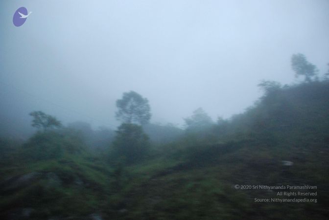 20080708 DSC 0010 CMP WM.jpg