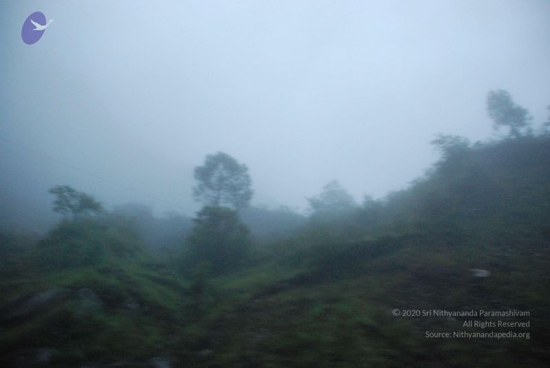 File:20080708 DSC 0010 CMP WM.jpg