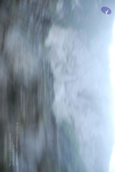 File:20080708 DSC 0015 CMP WM.jpg