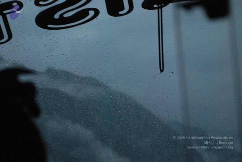 File:20080708 DSC 0025 CMP WM.jpg