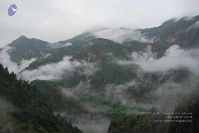 20080708 DSC 0031 CMP WM.jpg