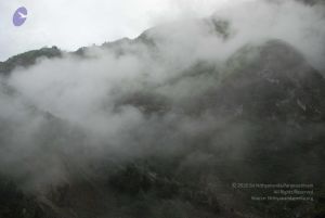 20080708 DSC 0042 CMP WM.jpg