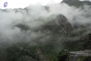 20080708 DSC 0043 CMP WM.jpg