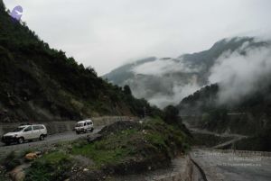 20080708 DSC 0047 CMP WM.jpg