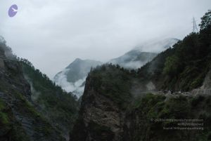 20080708 DSC 0053 CMP WM.jpg