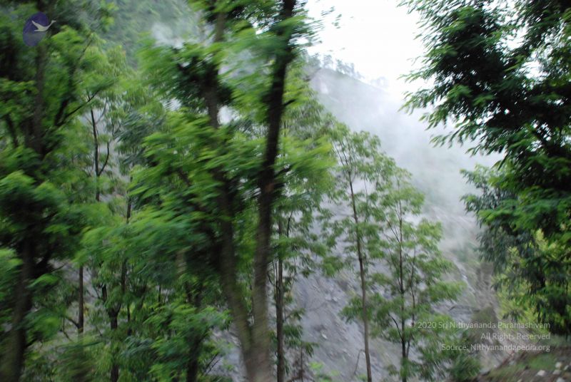 File:20080708 DSC 0074 CMP WM.jpg