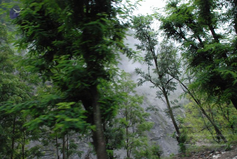 File:20080708 DSC 0075 CMP WM.jpg