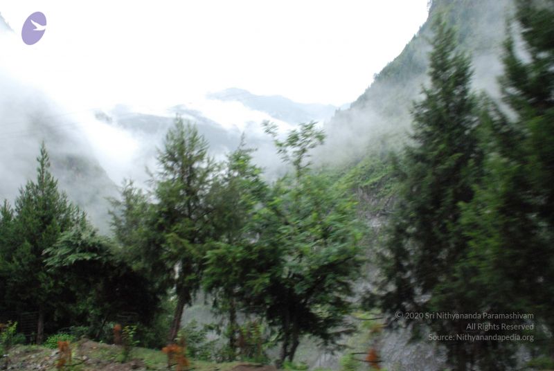 File:20080708 DSC 0080 CMP WM.jpg