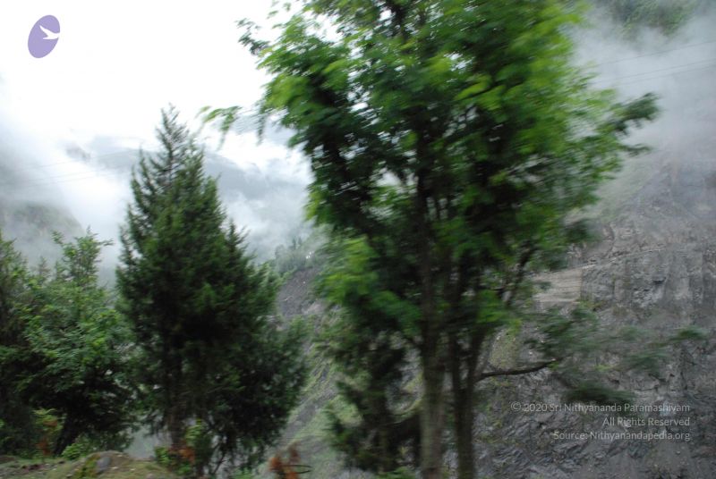 File:20080708 DSC 0081 CMP WM.jpg