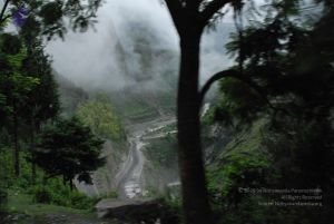 20080708 DSC 0086 CMP WM.jpg