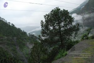 20080708 DSC 0094 CMP WM.jpg