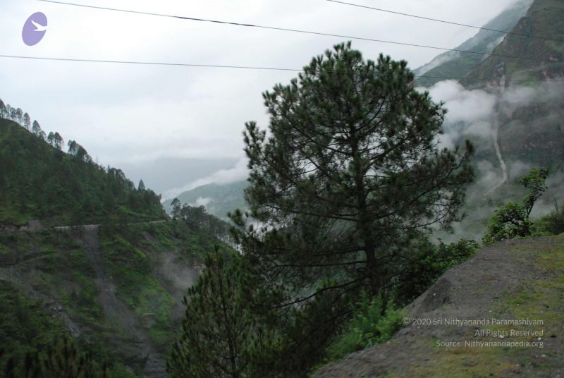 File:20080708 DSC 0094 CMP WM.jpg