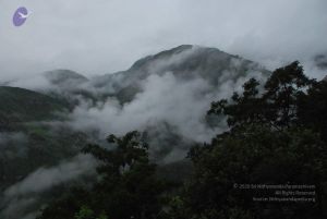 20080708 DSC 0098 CMP WM.jpg