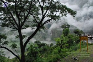 20080708 DSC 0100 CMP WM.jpg