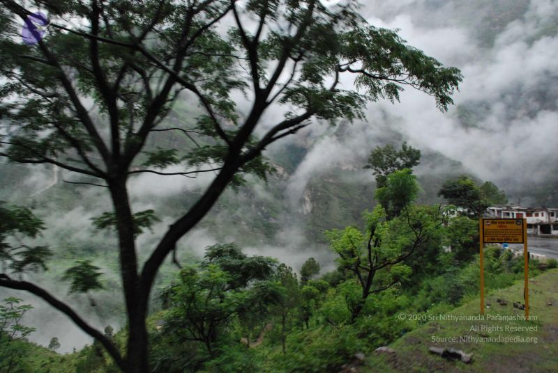 File:20080708 DSC 0100 CMP WM.jpg