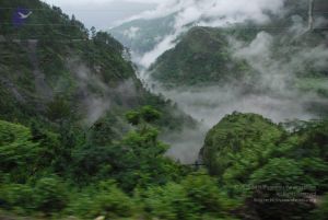 20080708 DSC 0103 CMP WM.jpg