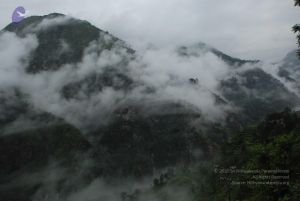 20080708 DSC 0113 CMP WM.jpg