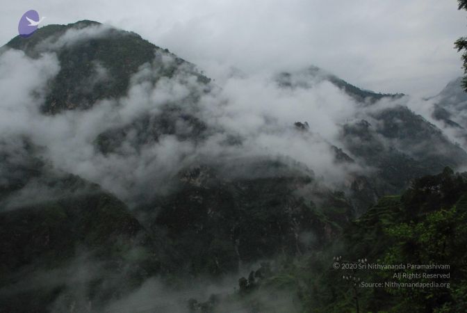 20080708 DSC 0113 CMP WM.jpg