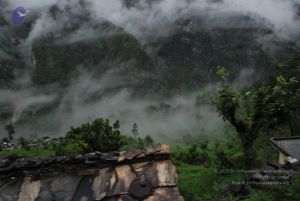 20080708 DSC 0115 CMP WM.jpg