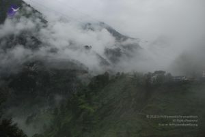 20080708 DSC 0118 CMP WM.jpg