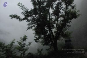 20080708 DSC 0120 CMP WM.jpg