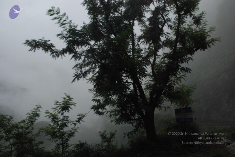 File:20080708 DSC 0120 CMP WM.jpg