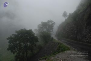 20080708 DSC 0121 CMP WM.jpg