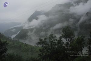 20080708 DSC 0123 CMP WM.jpg