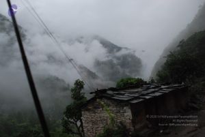 20080708 DSC 0125 CMP WM.jpg