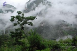 20080708 DSC 0128 CMP WM.jpg