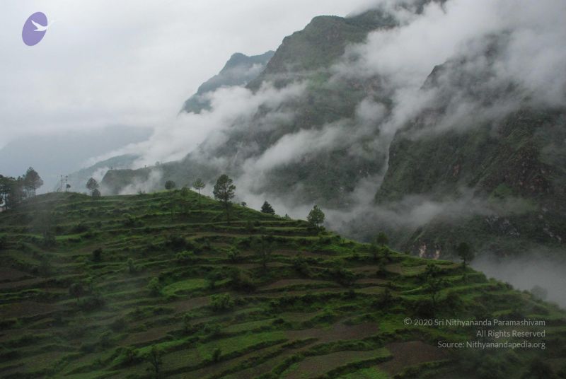 File:20080708 DSC 0142 CMP WM.jpg